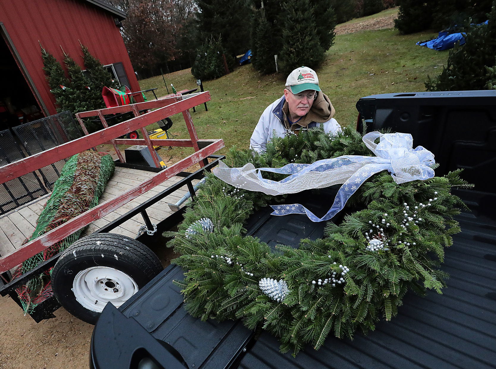 Christmas Trees